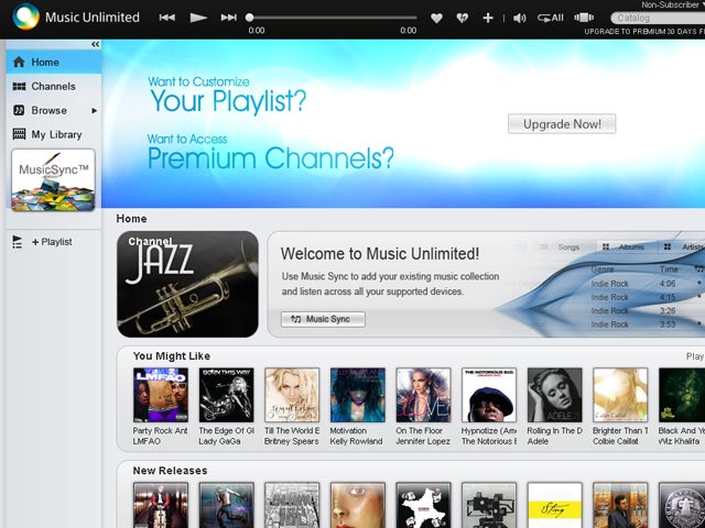 Sony Entertainment Network  