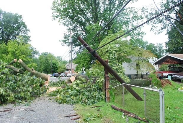hurricane irene essex tree down 4 