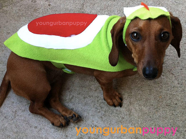 Weirdest Dog Costumes — The World of Kitsch