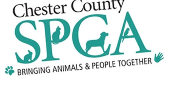 spca-chester-county-logo-dl.jpg 