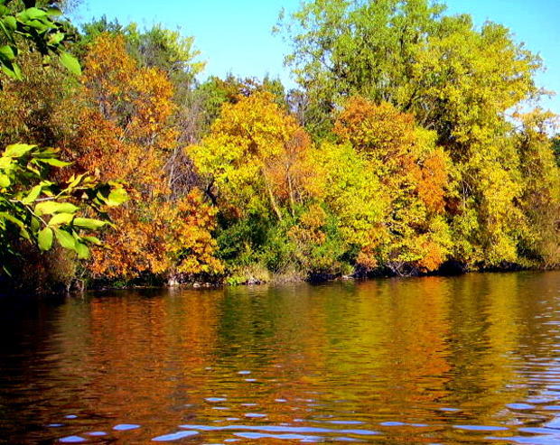 fall-colors-sucker-lake-st-paul.jpg 