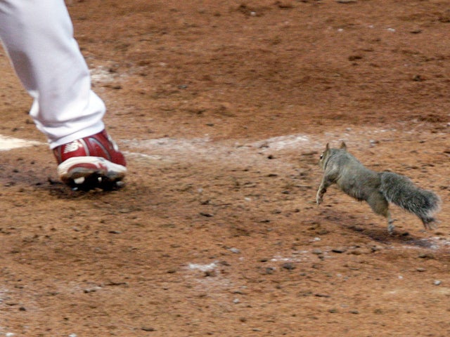 Skip Schumaker and squirrel 