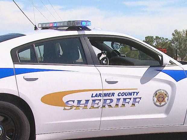 Larimer County Sheriff Badge 