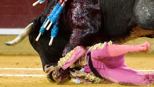 Bullfighter Juan Jose Padilla being gored. 