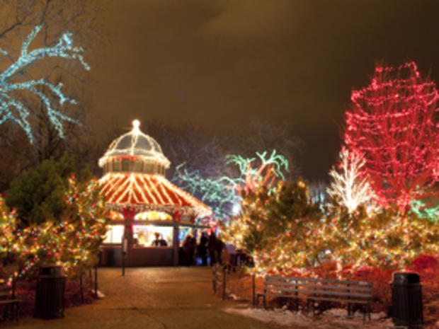 F &amp; P - 12.16.11 - Best Holiday Lights &amp; Events - Zoo Lights 