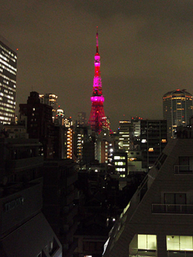 Tokyotowerpink.jpg 