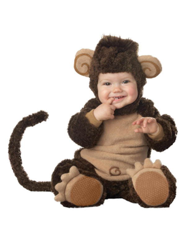 baby monkey MAIN 