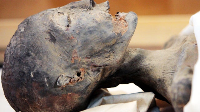 King Tutankhamun's mother is seen on display during a press conference at the Egyptian Museum Feb. 17, 2010, in Cairo. 