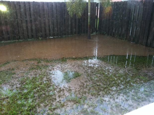 backyardflood.jpg 