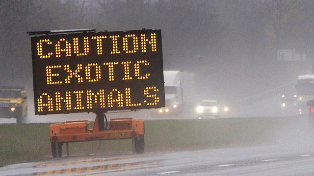 A sign warns passing motorists about exotic animals on the loose from a wildlife preserve October 19, 2011 in Zanesville, Ohio.  