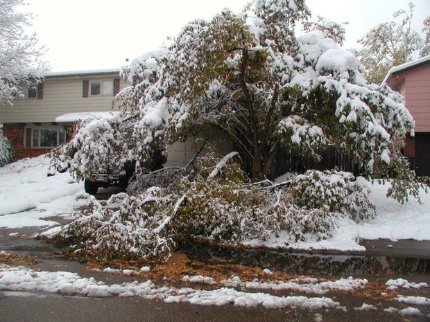 snow-damage-longmont2.jpg 