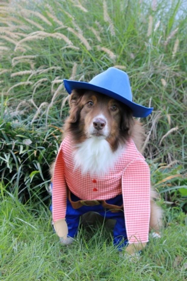 dog-cowboy-costume.jpg 