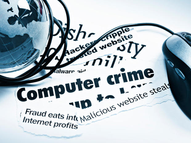 computer crime 