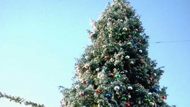 christmas-tree.jpg 