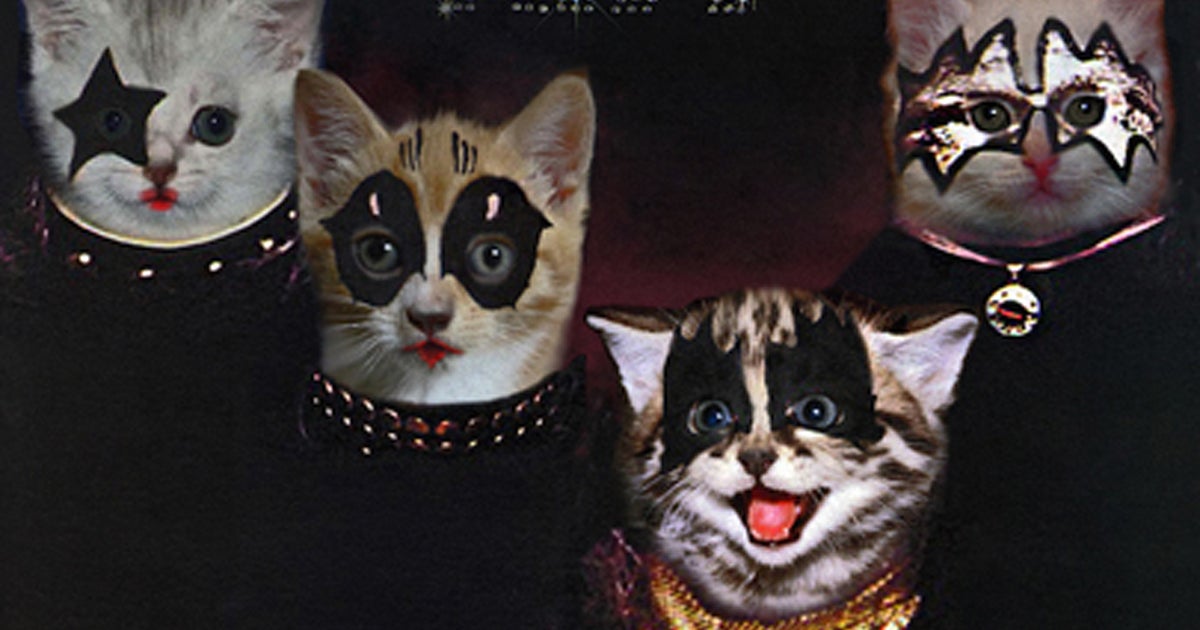 The Kitten Covers: Albums re-imagined with cats!