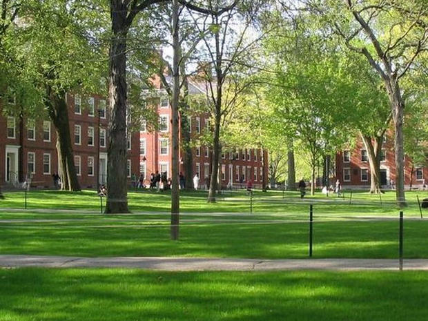Harvard Yard 