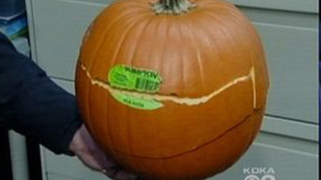 pumpkin_story.jpg 