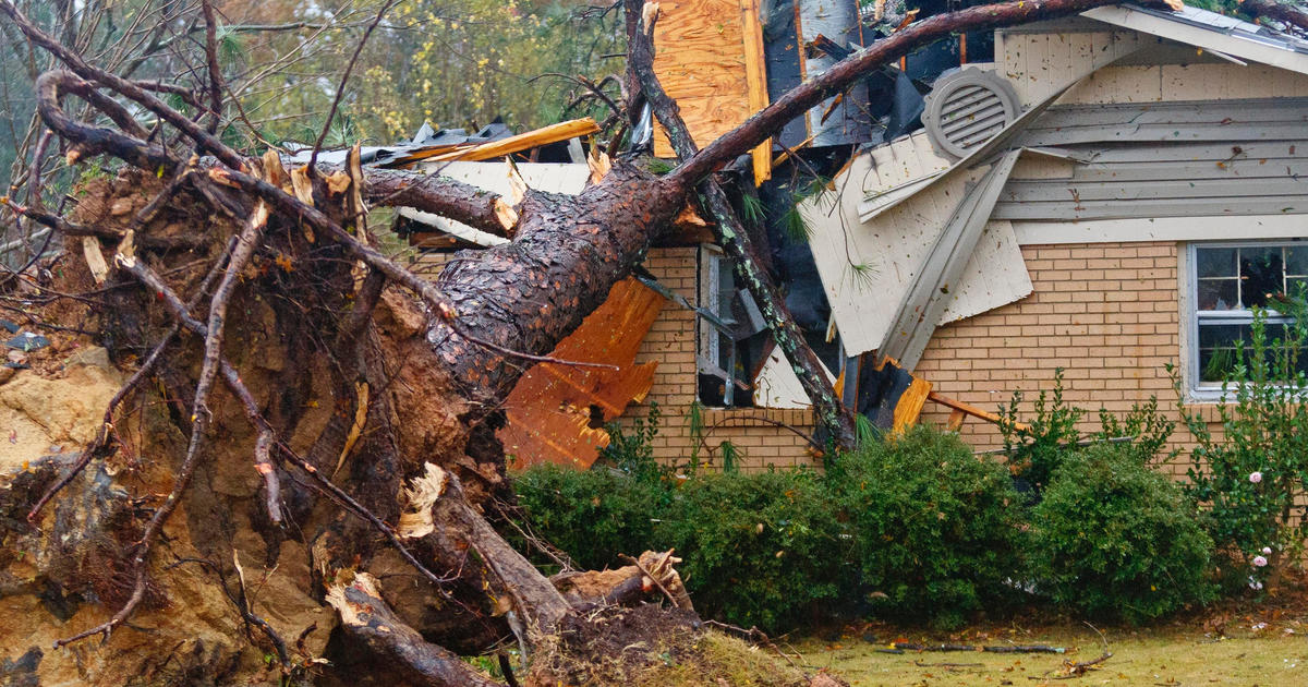 UA Little Rock Student Finds Dog Who Was Lost During Tornado