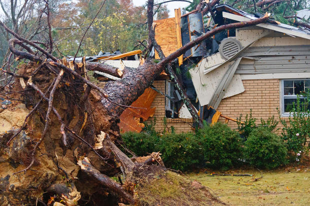 A fallen tree damages a house after a suspected tornado in Auburn, Ala., 