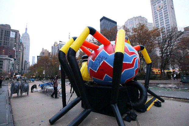027-spider.gif 