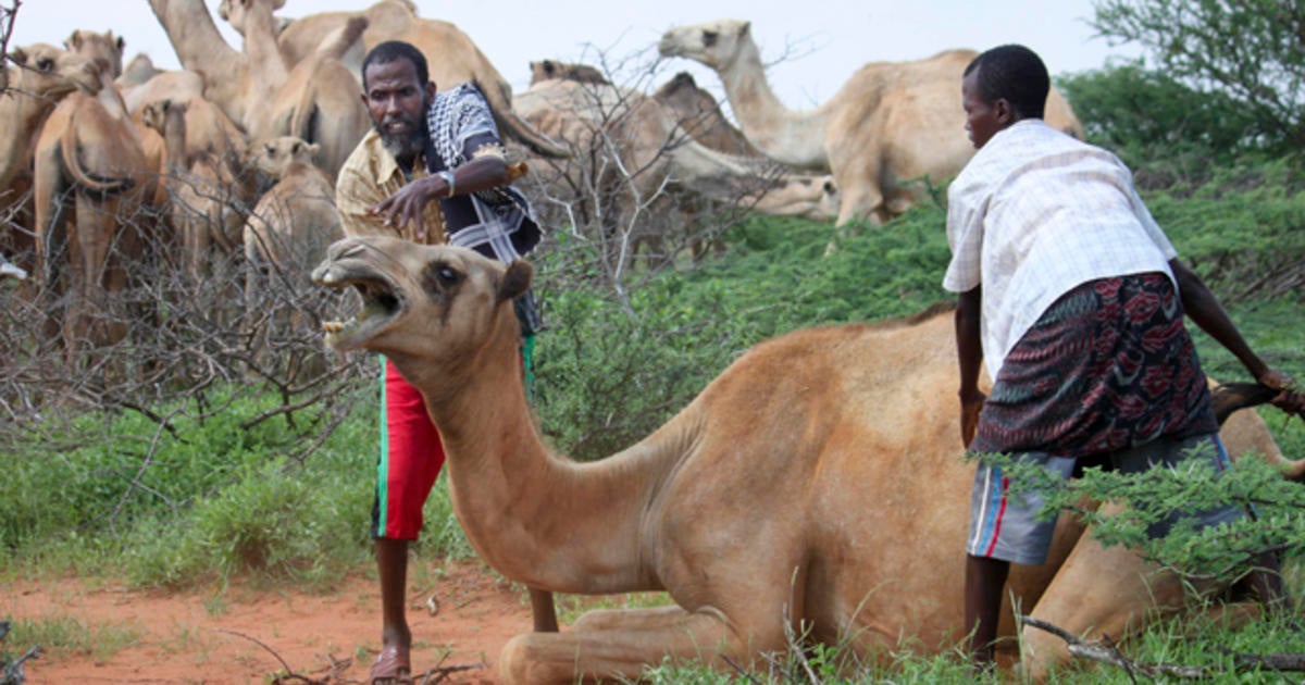 Some Somali famine victims afraid to return home - CBS News