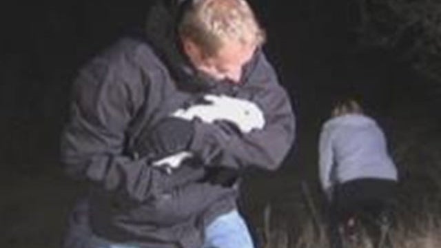 rabbit-rescue-cbs-denver.jpg 
