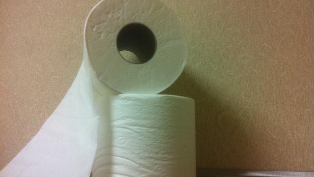 toilet-paper-002.jpg 