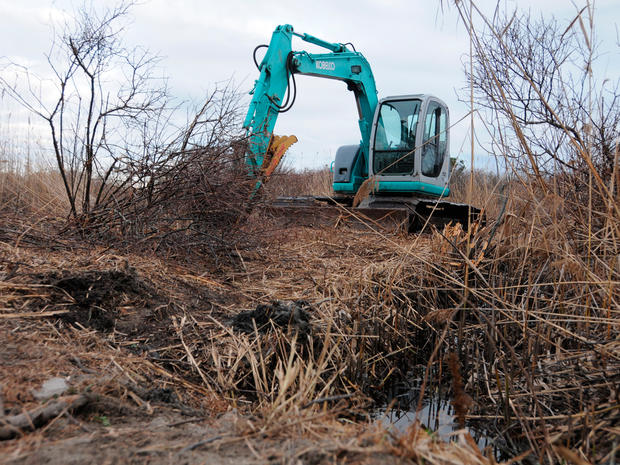 Crime scene investigators use heavy equipment to search a marsh for the remains of Shannan Gilbert on Monday, Dec. 12, 2011 