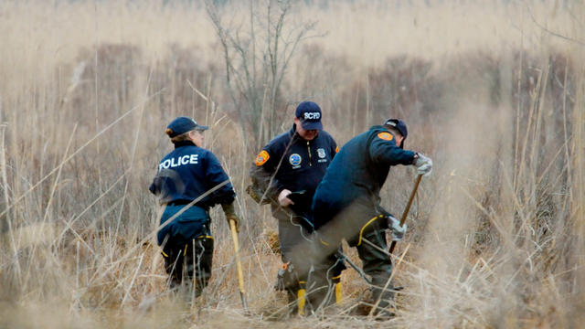 Investigators use metal detectors to search a marsh for the remains of Shannan Gilbert  on Dec. 12, 2011 in Oak Beach, N.Y. 