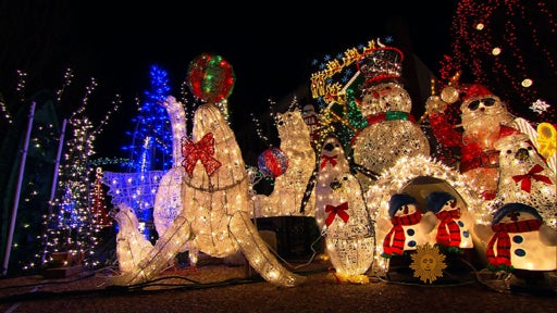tackylights04.jpg 