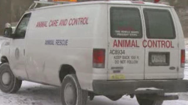 animal-care-control-van-0102.jpg 