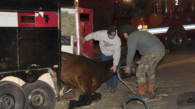 big-t-horse-rescue-5-loveland-fire-and-rescue-courtesy-required.jpg 