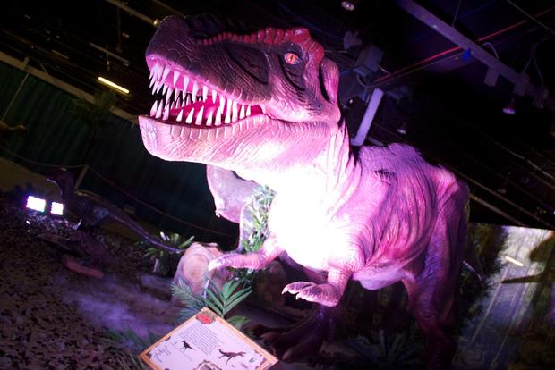 discover-the-dinosaurs-33.jpg 