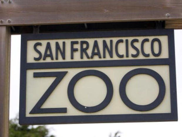 San Francisco Zoo 