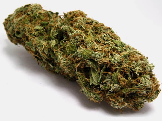 A macro shot of isolated marijuana 