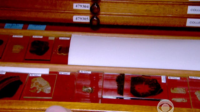 Charles Darwin, samples