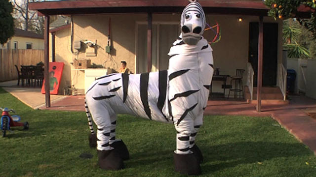 Dope_Zebra_copy.jpg 