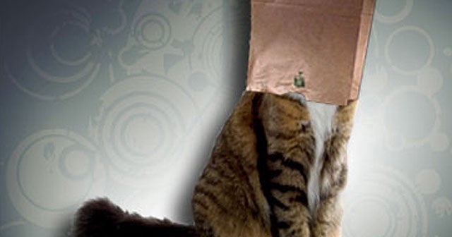 Urinating cat causes fire panic in Pa. home CBS News