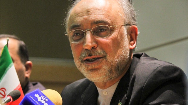 Iran's Foreign Minister Ali Akbar Salehi speaks at the African Union Summit in Addis Ababa, Ethiopia, Sunday, Jan. 29, 2012.  