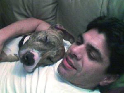 Nick Santino, soap opera actor, commits suicide after putting pet dog ...