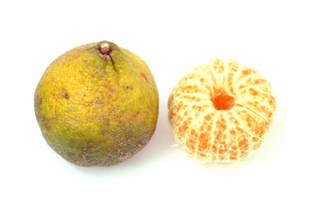 ugli-fruit1.jpg 