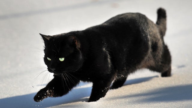 cold_138002950.jpg 