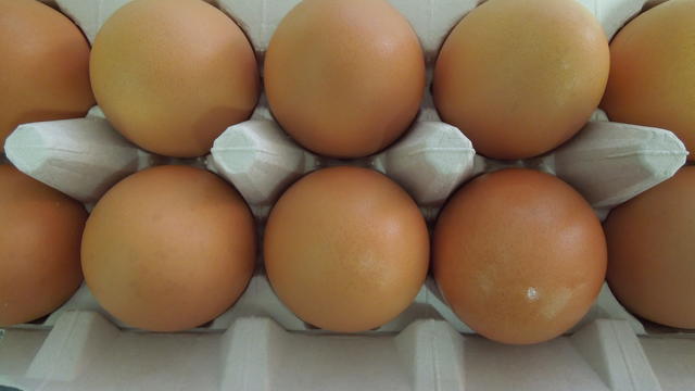 eggs-001.jpg 