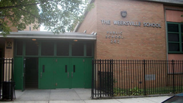 PS243OURSCHOOL.jpg 