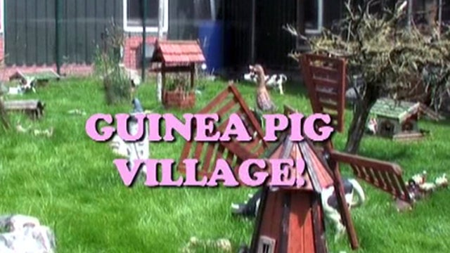 Guinea_Pig_Village_copy.jpg 