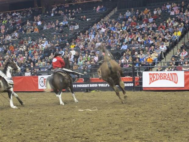 worlds-toughest-rodeo-2012-079.jpg 