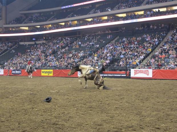 worlds-toughest-rodeo-2012-063.jpg 