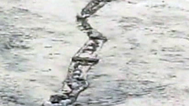 Icelandic river monster caught on tape? 
