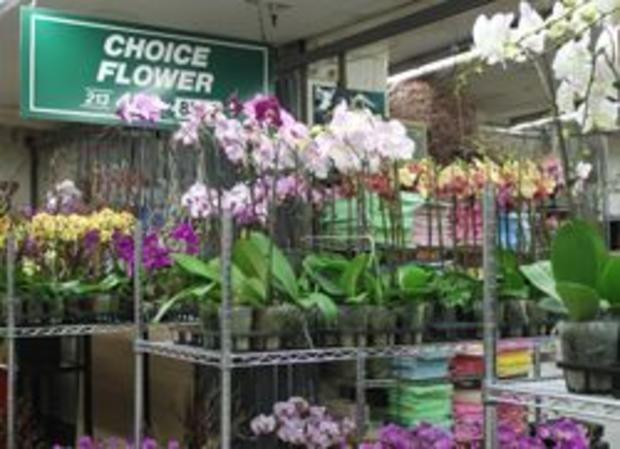 Los Angeles Flower Market 