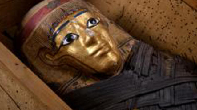 mummy-in-storage-box1.jpg 